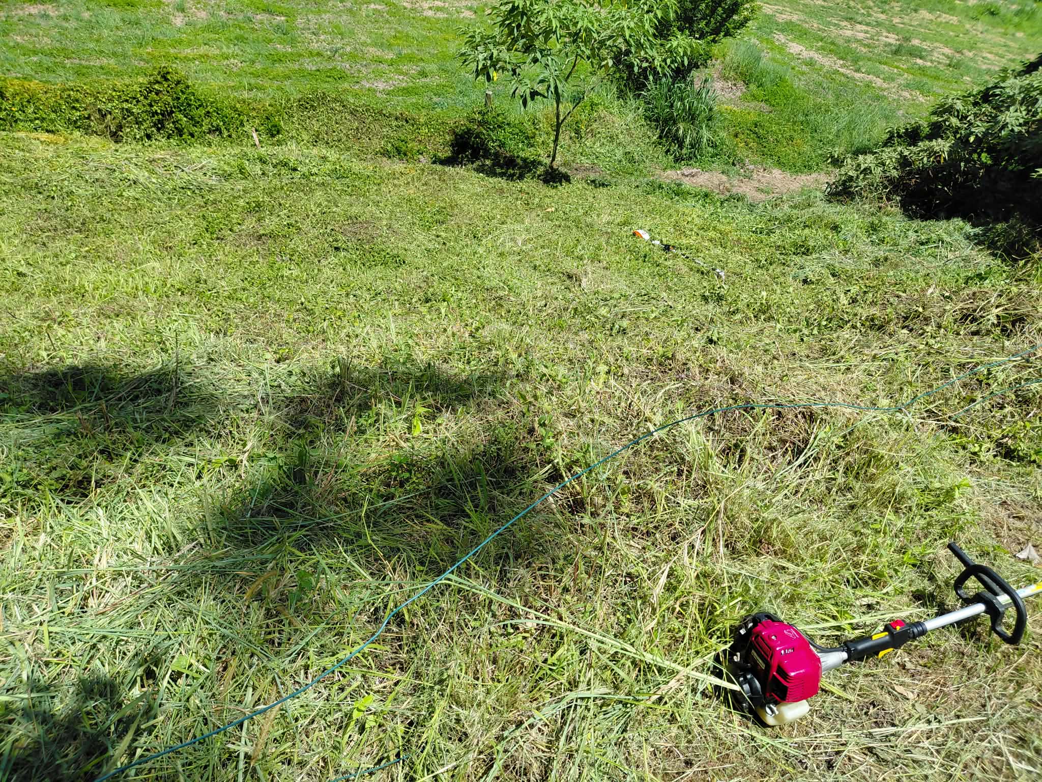 Freshly cut grass and edging by Granger Gardening in The Gap