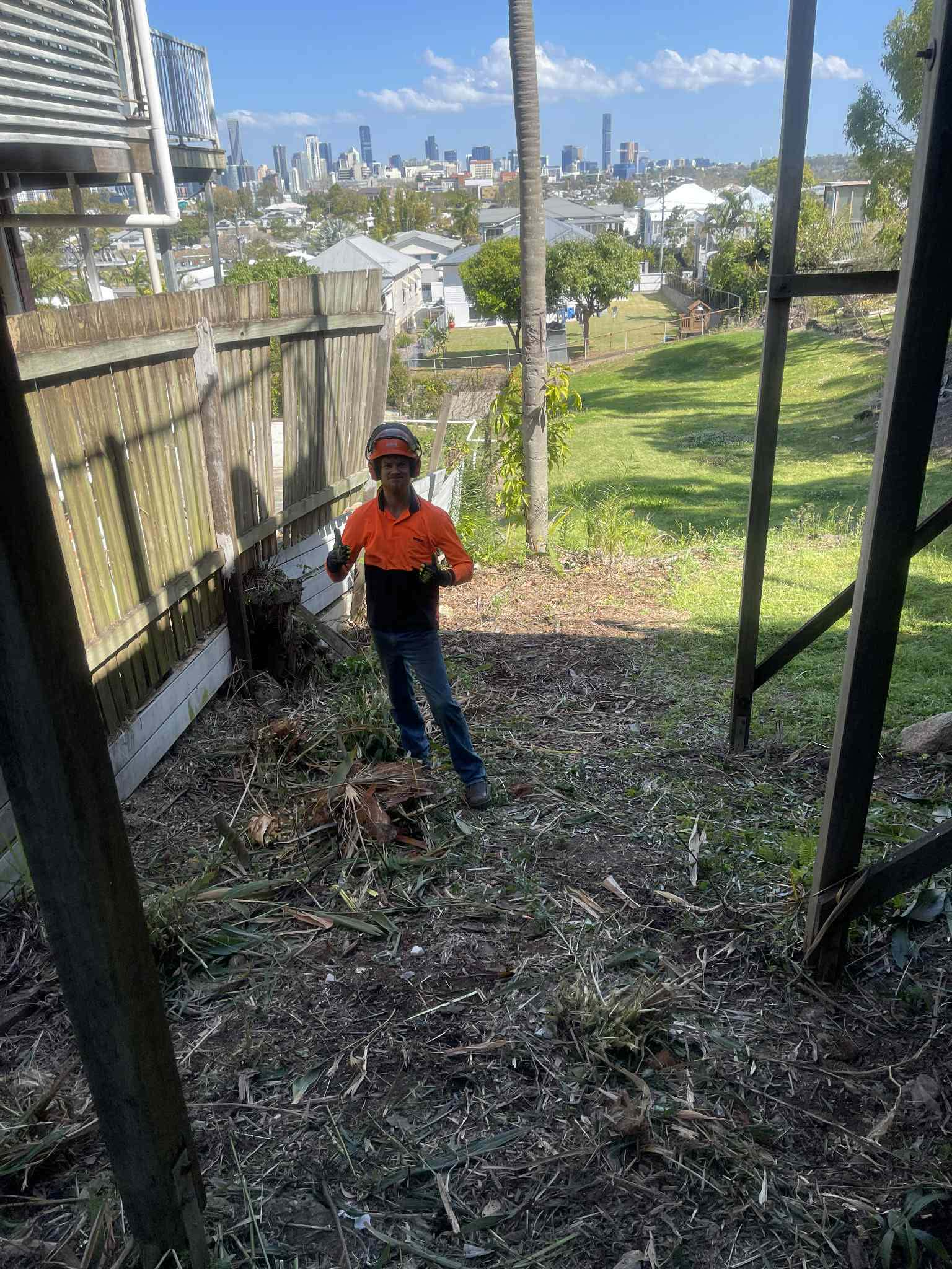 Cleared hillside after weed and palm removal in Samford Valley